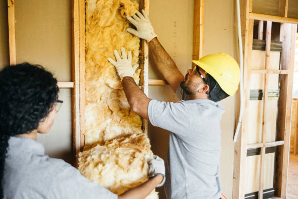 Types of Insulation We Offer in Double Oak, TX