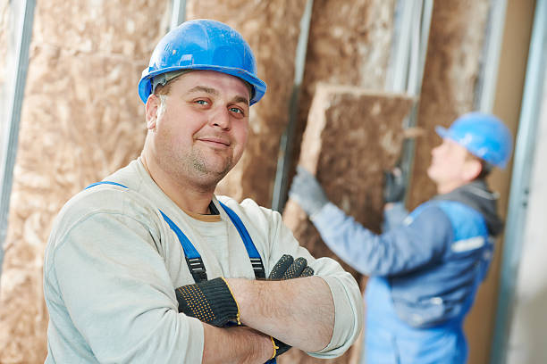 Best Spray Foam Insulation  in Double Oak, TX