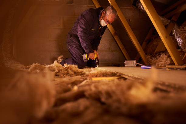 Best Attic Insulation Installation  in Double Oak, TX